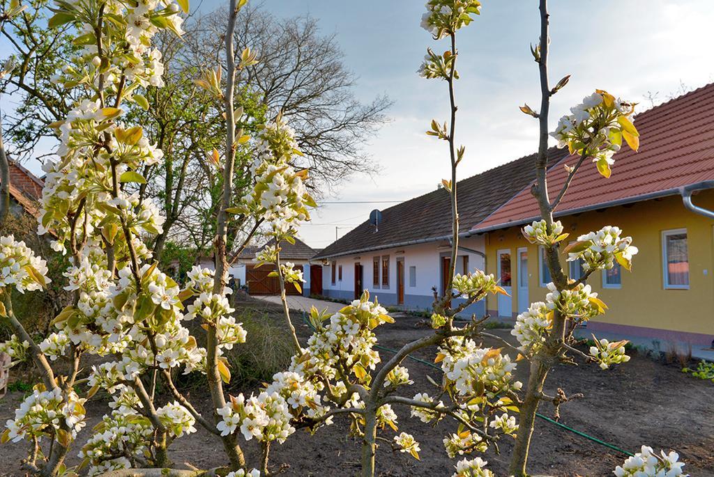 Rigófütty Vendégház Tiszaalpar Exterior foto